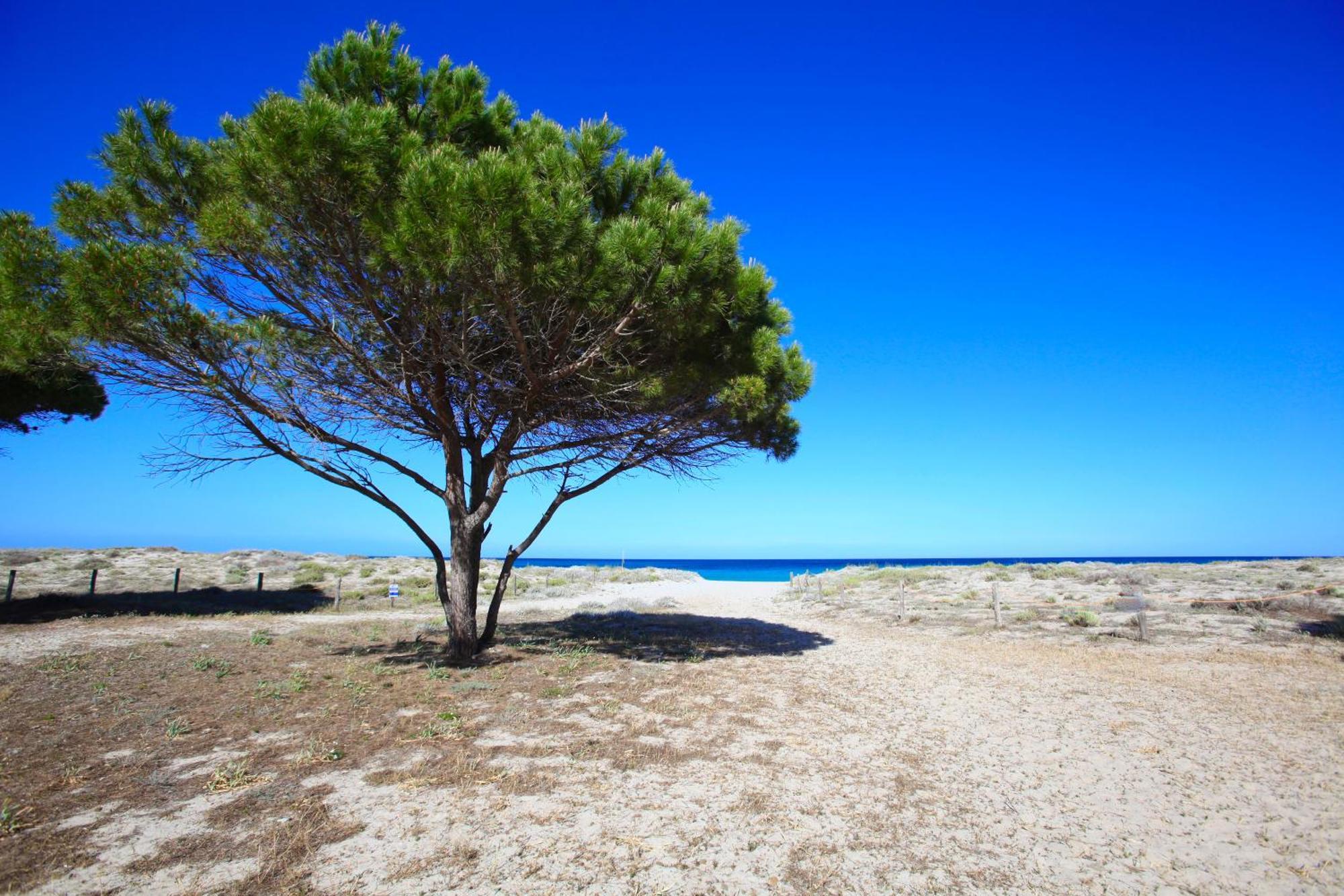 Resort Abbaia Ba Будони Экстерьер фото