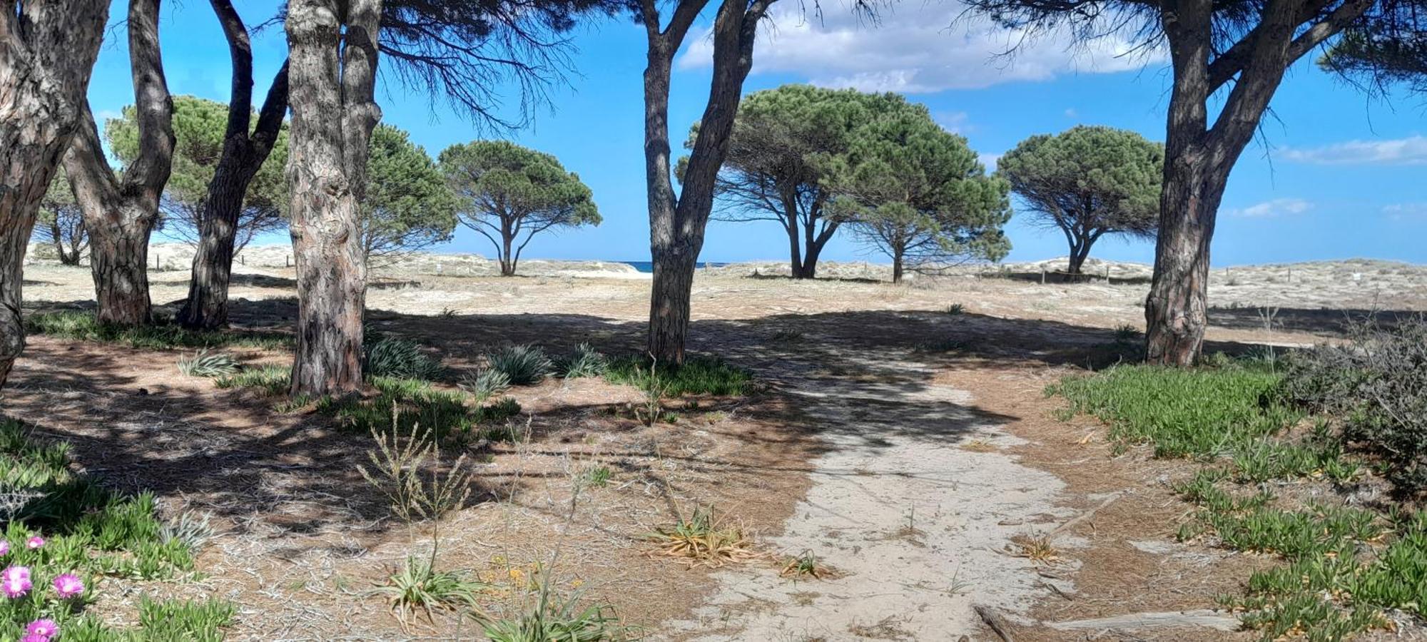 Resort Abbaia Ba Будони Экстерьер фото